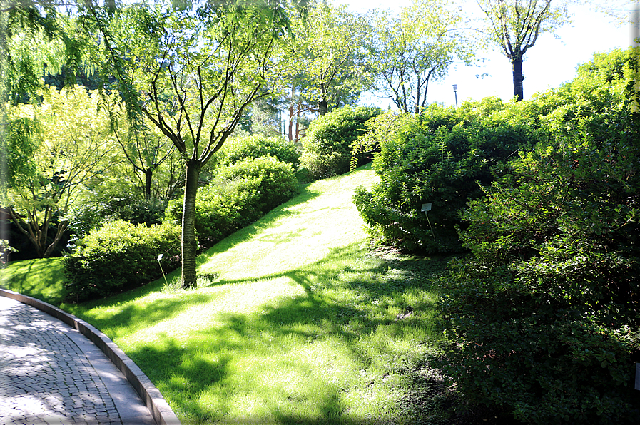 foto Giardini Trauttmansdorff - Boschi del Mondo